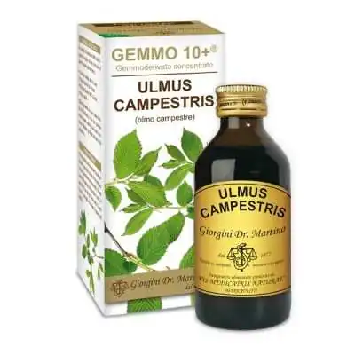 DR.GIORGINI GEMMO 10+ Olmo Campestre 100 ml liquido analcoolico, Dr Giorgini