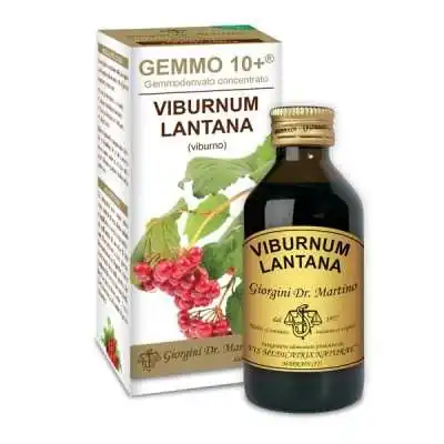 DR.GIORGINI GEMMO 10+ Viburno 100 ml liquido analcoolico, Dr Giorgini