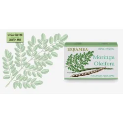 ERBAMEA MORINGA OLEIFERA, ERBAMEA