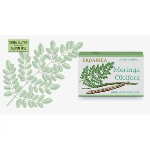 ERBAMEA MORINGA OLEIFERA, ERBAMEA