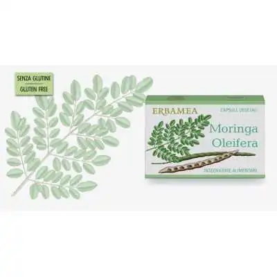 ERBAMEA MORINGA OLEIFERA, ERBAMEA