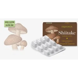 ERBAMEA SHIITAKE CAPSULE, ERBAMEA