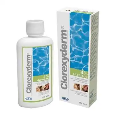 Clorexyderm Shampo 4% 250 mL | Farma di Fiducia