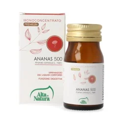 Alta Natura Terranata Ananas 500 | Farma di Fiducia