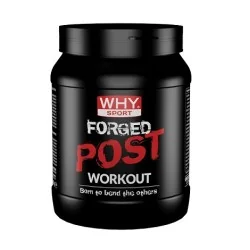 WHY SPORT Forged PostWorkout | Farma di Fiducia