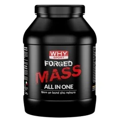 WHY SPORT Forged Mass 1 Kg Cacao | Farma di Fiducia