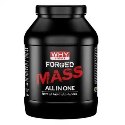 WHY SPORT Forged Mass 1 Kg Cacao | Farma di Fiducia