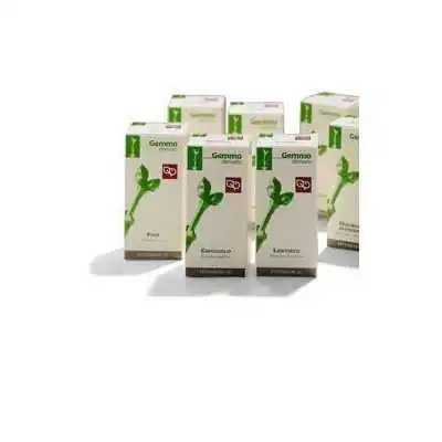 ONTANO Bianco 100ml Macerato Glicerico, FITOMEDICAL Snc di Moretti G.