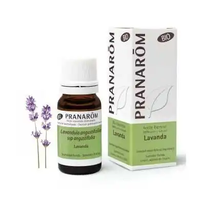 PRANAROM - Lavanda - 10 ml | %shop-name%