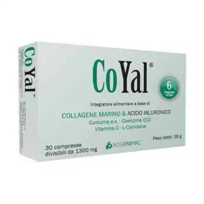 COYAL 30CPR 1300MG, INTERFARMAC Srl