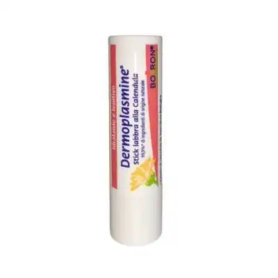 Dermoplasmine Stick Labbra, Boiron srl