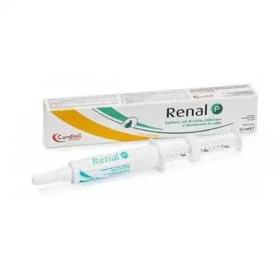 Candioli RENAL P PASTA 15ML