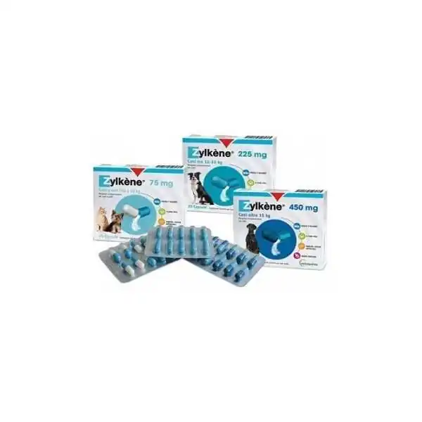 Zylkene Cani 20 Capsule 225MG, VETOQUINOL ITALIA Srl