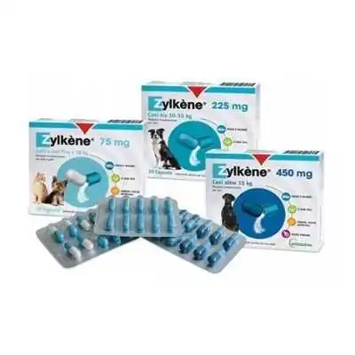 Zylkene Cani 20 Capsule 225MG, VETOQUINOL ITALIA Srl
