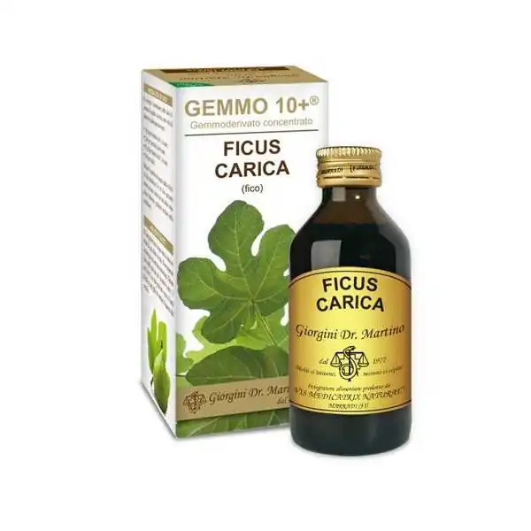 Giorgini FICO Ficus Carica 100ml Liquido Analcolico GEMMO10+ GemmoDerivato, DR.GIORGINI SER-VIS Srl