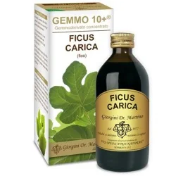 Giorgini FICO Ficus Carica 200ml Liquido Analcolico GEMMO10+ GemmoDerivato, DR.GIORGINI SER-VIS Srl