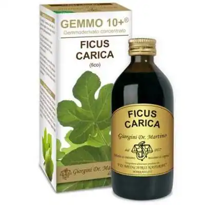 Giorgini FICO Ficus Carica 200ml Liquido Analcolico GEMMO10+ GemmoDerivato, DR.GIORGINI SER-VIS Srl
