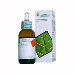 Arcangea BETULA Verrucosa GemmoDerivato 33 %separator% %shop-name%