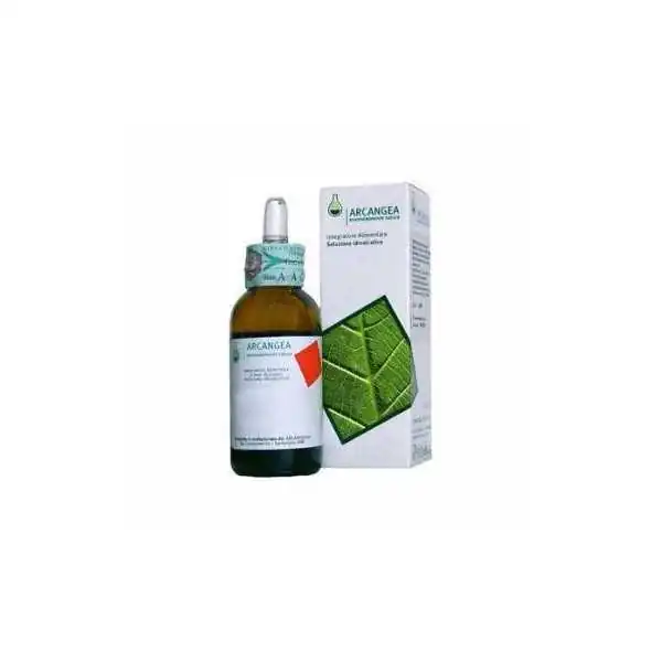 Arcangea BETULA Verrucosa GemmoDerivato 33 %separator% %shop-name%