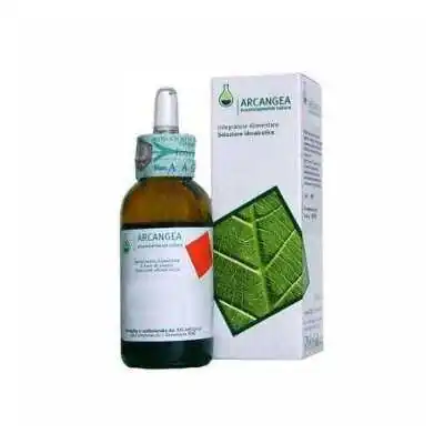 Arcangea BETULA Verrucosa GemmoDerivato 33 %separator% %shop-name%