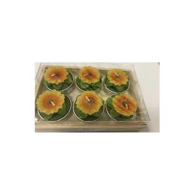 Candele Girasole 6 Pezzi | Risparmia in Farmacia