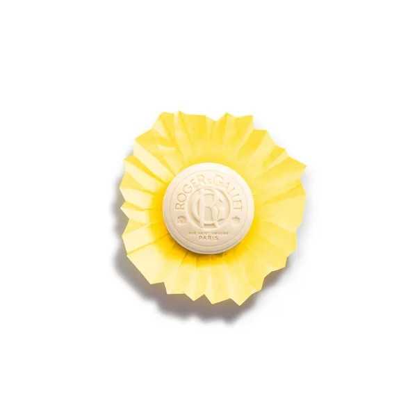 Roger & Gallet - Cedrat Saponetta - 100 g | Risparmia in Farmacia