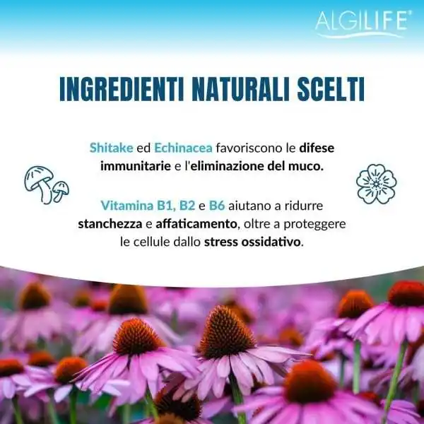 Algilife AlgiFlu 1000 14 Bustine | Farma di Fiducia