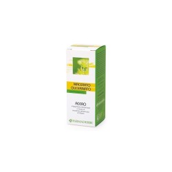 Farmaderbe Acero Gemme Macerato Glicerico 50ml | Farma di Fiducia