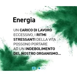 Spirulina Marcus Rohrer 180 compresse | Farma di Fiducia 2