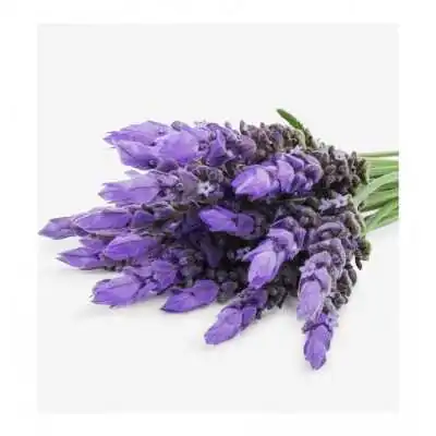VERSET POUR TOI EDP 50ML| Risparmia In Farmacia