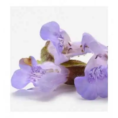 %product-name%%separator%%shop-name%