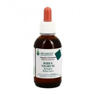 Arcangea Ribes Nigrum Gemmoderivato 50 ml | Farma di Fiducia