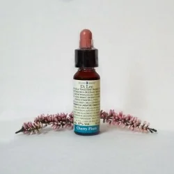 N°6 Fiori di Bach Cherry Plum 10ml | Farma di Fiducia