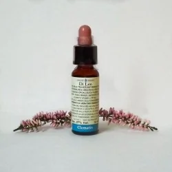 Di Leo Fiori di Bach Clematis 10 ml | Farma di Fiducia