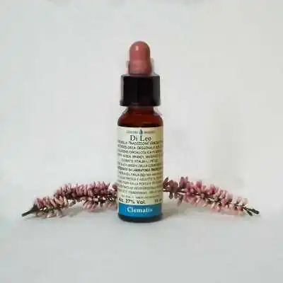 Di Leo Fiori di Bach Clematis 10 ml | Farma di Fiducia