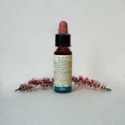 Di Leo Fiori di Bach Elm 10 ml | Farma di Fiducia