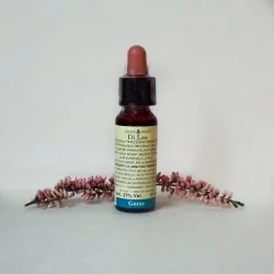 Di Leo Fiori di Bach Gorse 10 ml | Farma di Fiducia