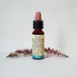 Di Leo Fiori di Bach Holly 10 ml | Farma di Fiducia