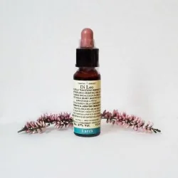 Di Leo Fiori di Bach Larch 10 ml | Farma di Fiducia