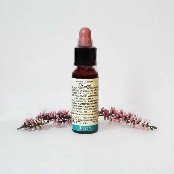 Di Leo Fiori di Bach Larch 10 ml | Farma di Fiducia
