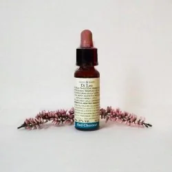 Di Leo Fiori di Bach Red Chestnut 10 ml | Farma di Fiducia
