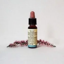 Di Leo Fiori di Bach Rock Water 10 ml | Farma di Fiducia