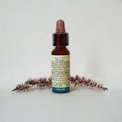 N°36 Fiori di Bach Wild Oat 10ml | Farma di Fiducia