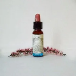 Di Leo Fiori di Bach Wild Rose 10 ml | Farma di Fiducia