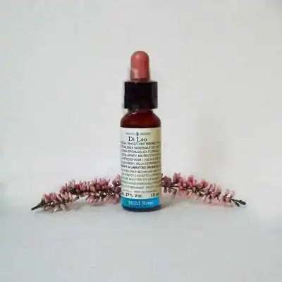 Di Leo Fiori di Bach Wild Rose 10 ml | Farma di Fiducia