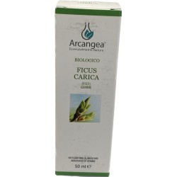 Arcangea FICUS CARICA Macerato| Farma di Fiducia