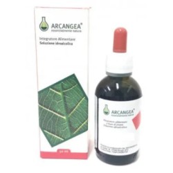 Arcangea GRAMIGNA IAL Soluzione Idroalcolica 100ML