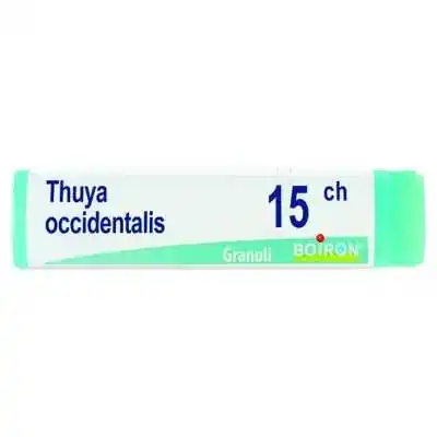 Thuya 15 CH Globuli