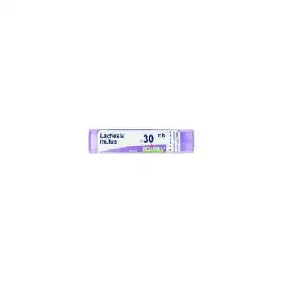 BOIRON LACHESIS 30CH GLOBULI DOSE, Boiron srl