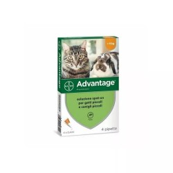 bAYER aDVANTAGE 40 MG SPOT GATTI E CONIGLI